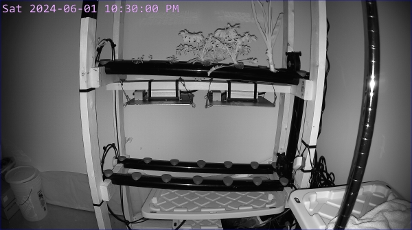 a hydroponics garden, taken from a webcam. it might be in colour or black-and-white depending on what time of day you are visiting this page. purple timestamp on the top left.