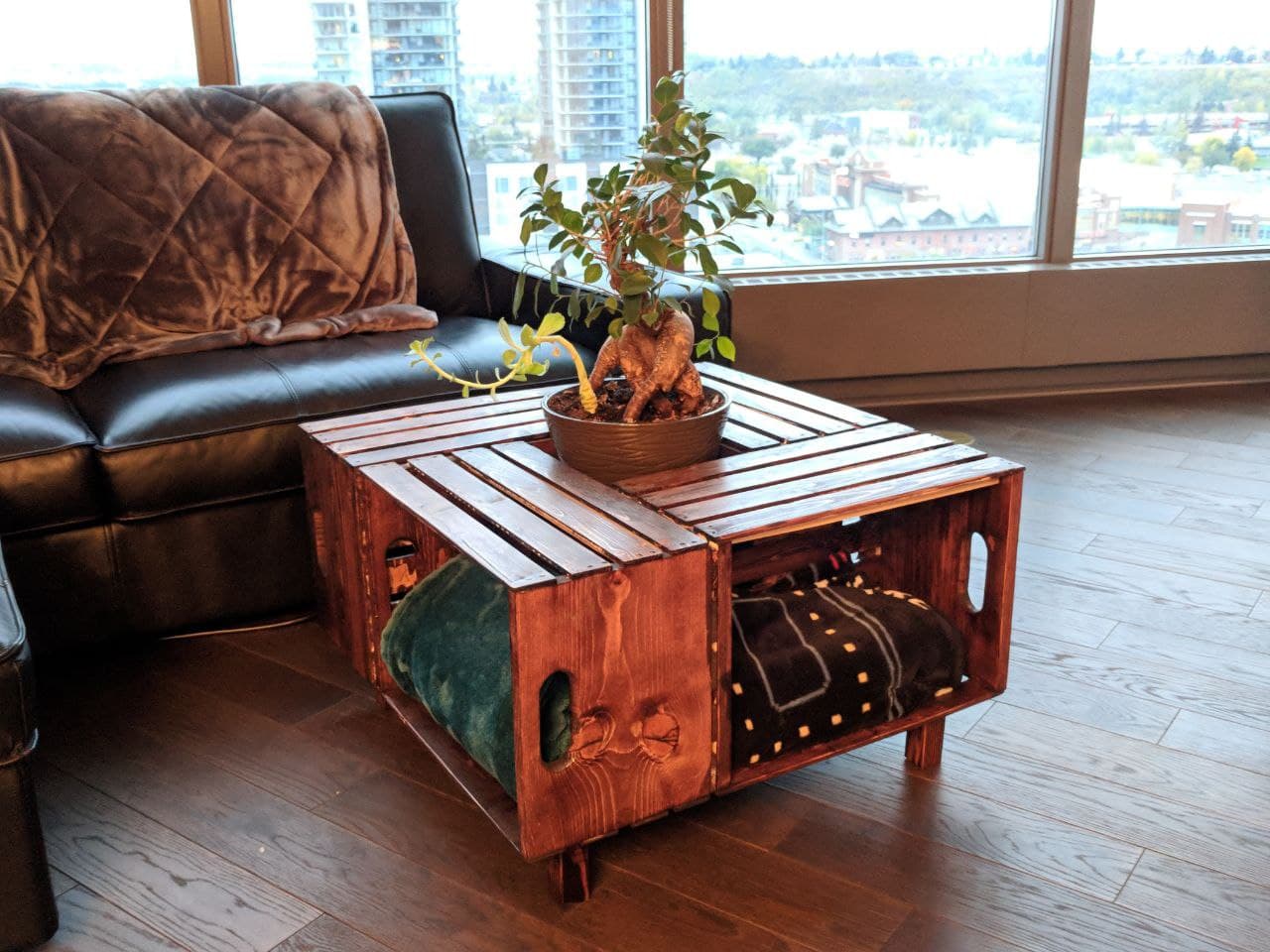 the table in my living room with blankets inside the wine crates and a plant pot in the centre growing a bonsai tree and a succulent